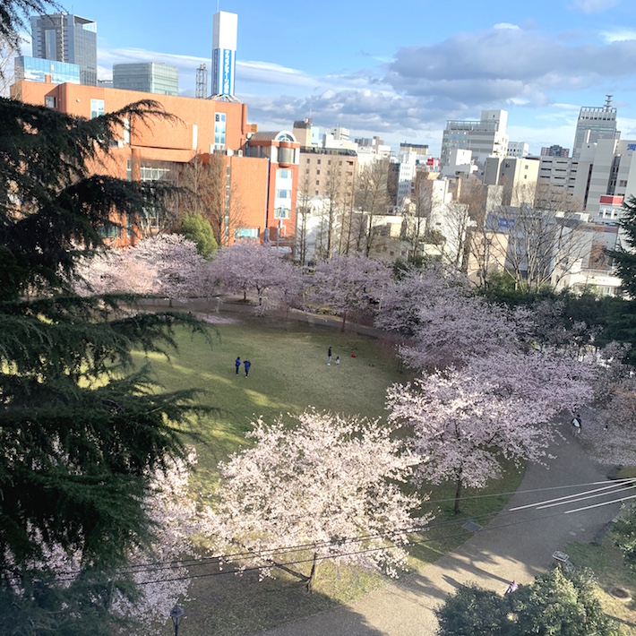 通りを挟んで西側すぐの錦町公園は、仙台の街中でいち早く桜が開花するお花見スポット。休日には家族連れの姿も多く、和やかな空気が流れる街中のオアシス的空間だ