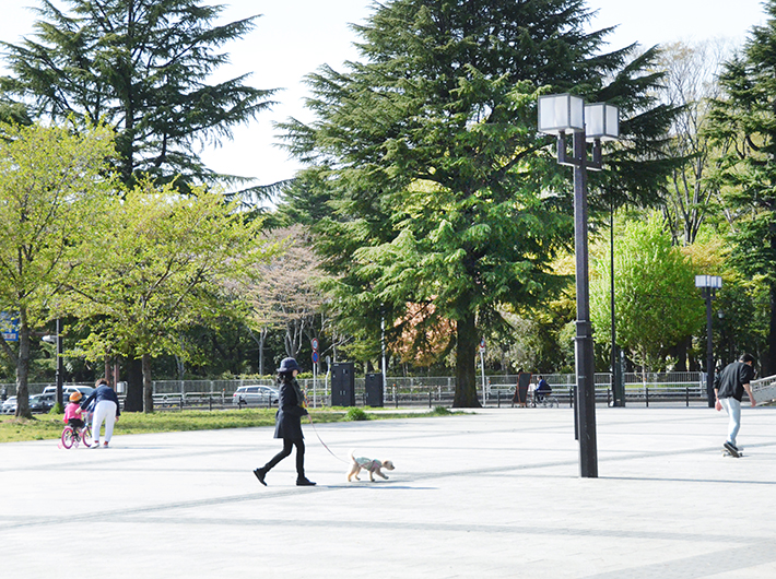 自然豊かで敷地の広い西公園は犬を散歩させるのにぴったり