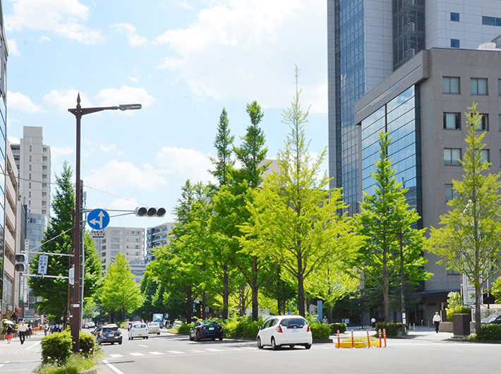 NTTドコモ東北支社のビルなどが建ち、昼間は会社員の姿も多い愛宕上杉通