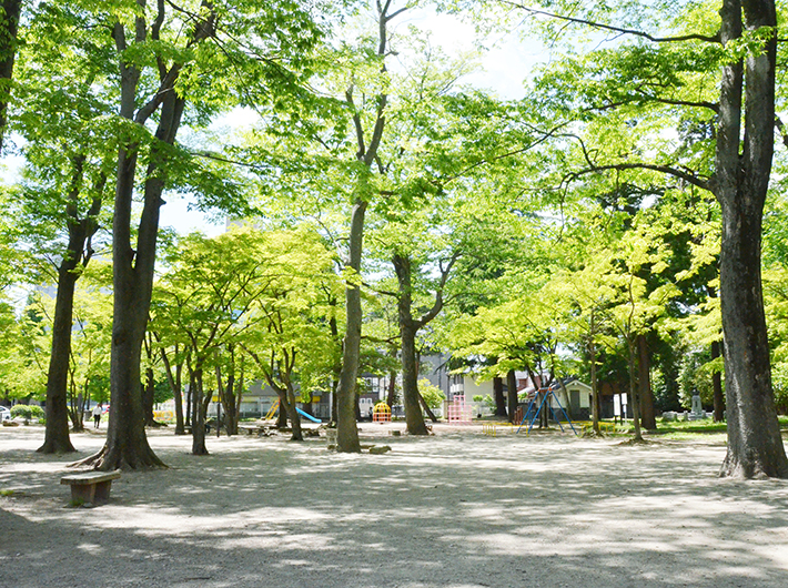 緑が美しい勝山公園。遊具もあり、子供と遊ぶ親の姿も