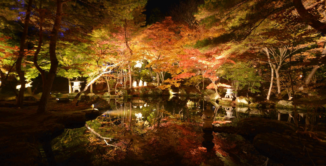 仙台から仕事終わりに行けるデートスポット！写真映えする紅葉ライトアップ3選