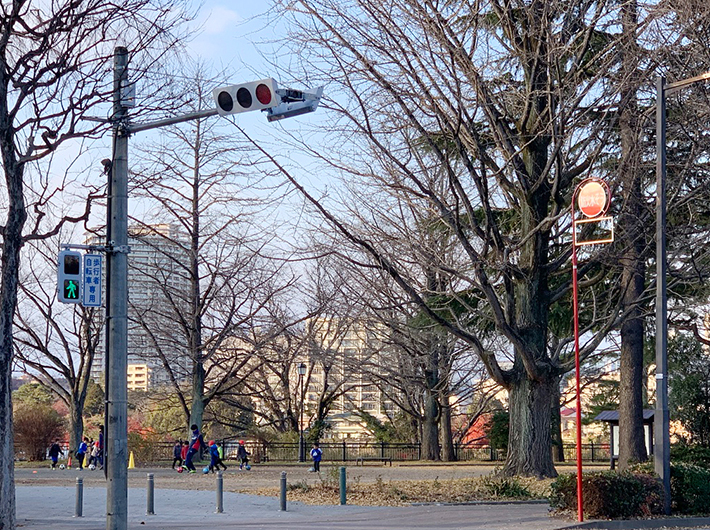 子供達が遊ぶ姿も見られる西公園