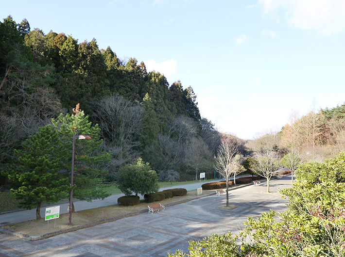 台原森林公園