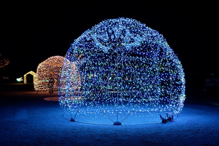 昨年開催の様子　※今年のイメージとは多少異なります