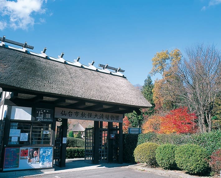 写真提供：宮城県観光プロモーション推進室